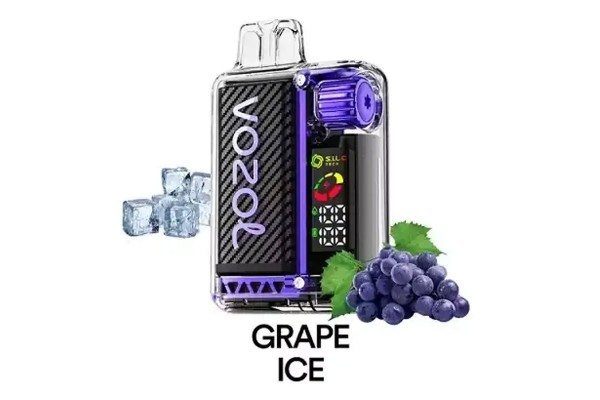 Vozol Vista 20000 Grape ICE