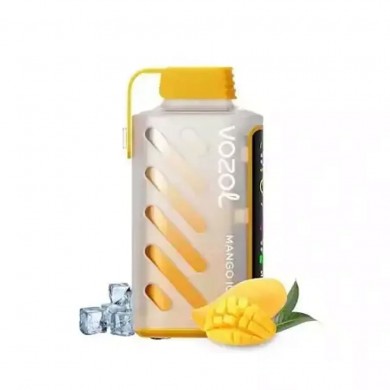 Vozol Gear Power 20000 Mango ICE