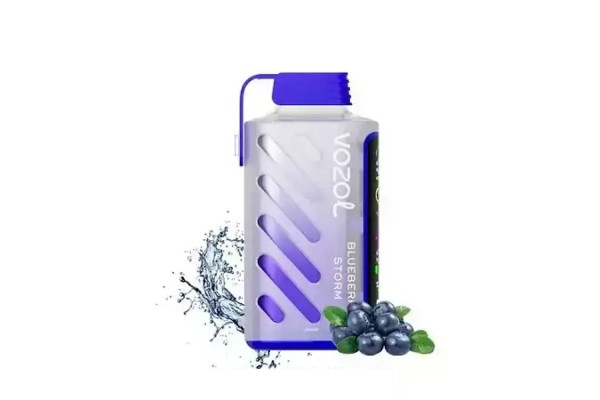Vozol Gear Power 20000 Blueberry Storm