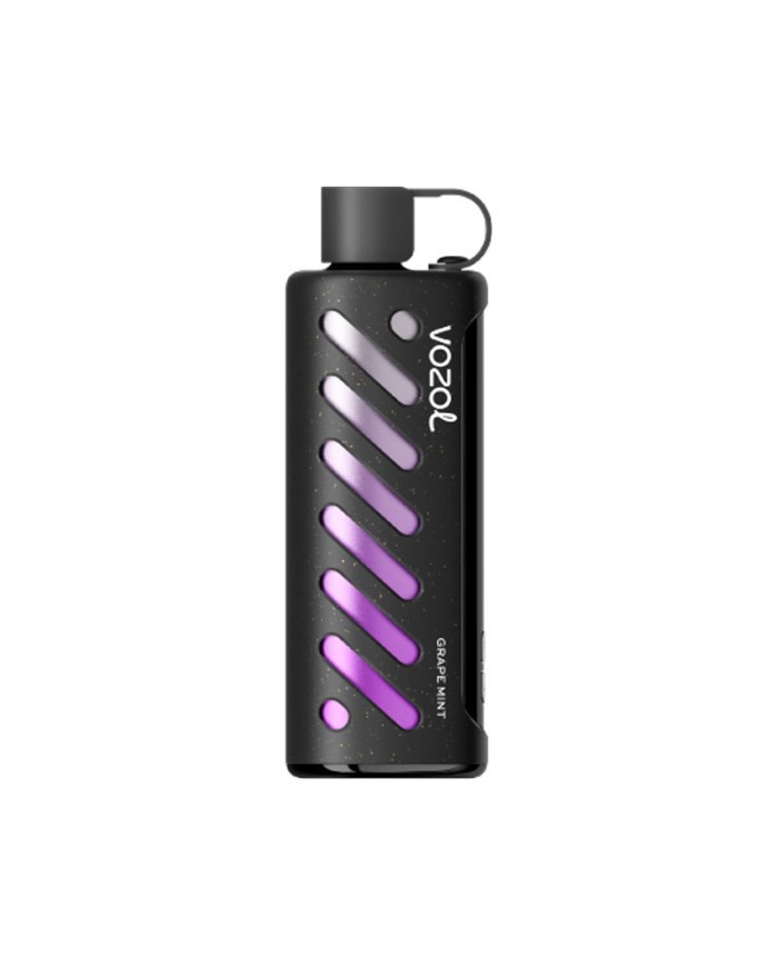 Vozol Gear Shisha 25000 Grape Mint